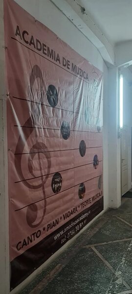 Amadeus Academy - Cursuri muzica, teatru