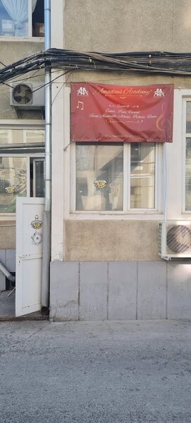 Amadeus Academy - Cursuri muzica, teatru